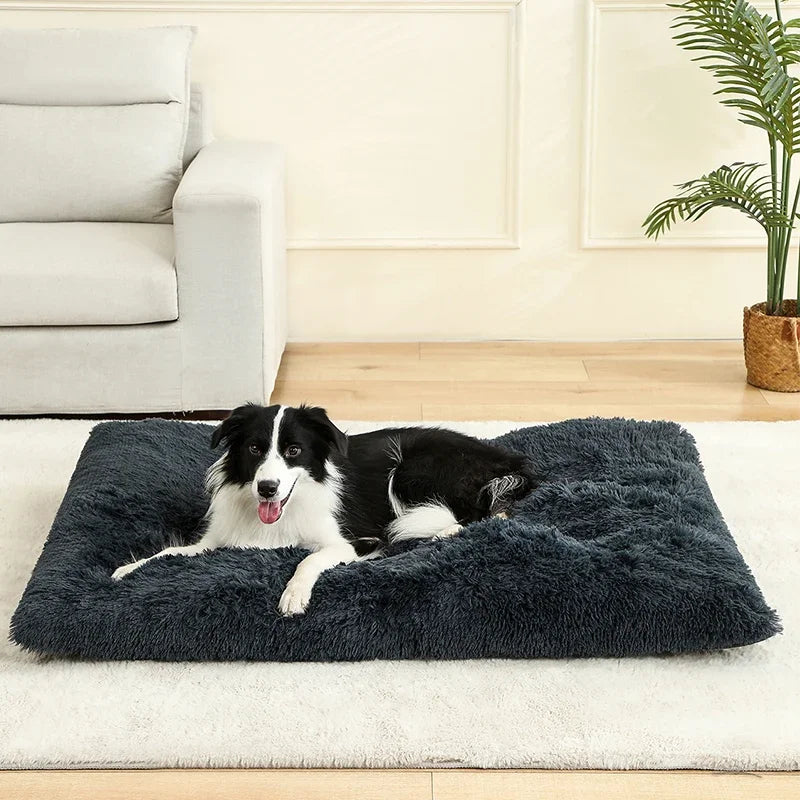 Soft Plush Calming Dog Bed With Orthopedic Support And Anti-Anxiety Comfort