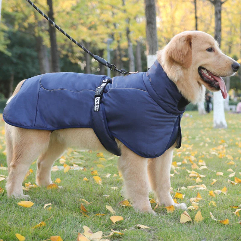 Titan Expedition Waterproof Reflective WInter Coat With Built-in Harness For Large Dogs