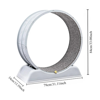 Ultra-Quiet Indoor Cat Exercise Wheel With Safety Lock – Running Treadmill For Large Breeds