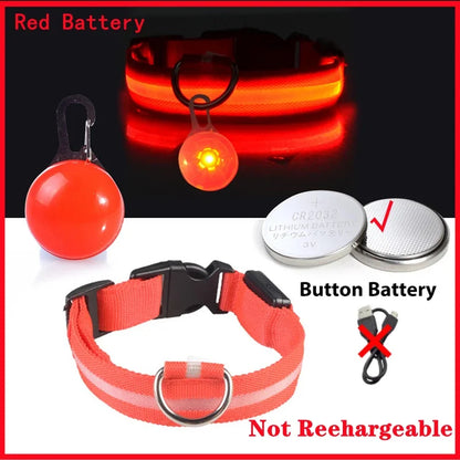 Usb Rechargeable Ultra-Bright Led Dog Collar For Night Safety And Visibility