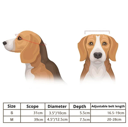 Motorcycle Helmet And Goggles For Dogs – Stylish, Safe Riding Gear