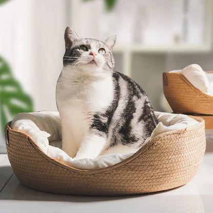 Eco-Friendly Bamboo Fiber Breathable Pet Bed For Dogs And Cats