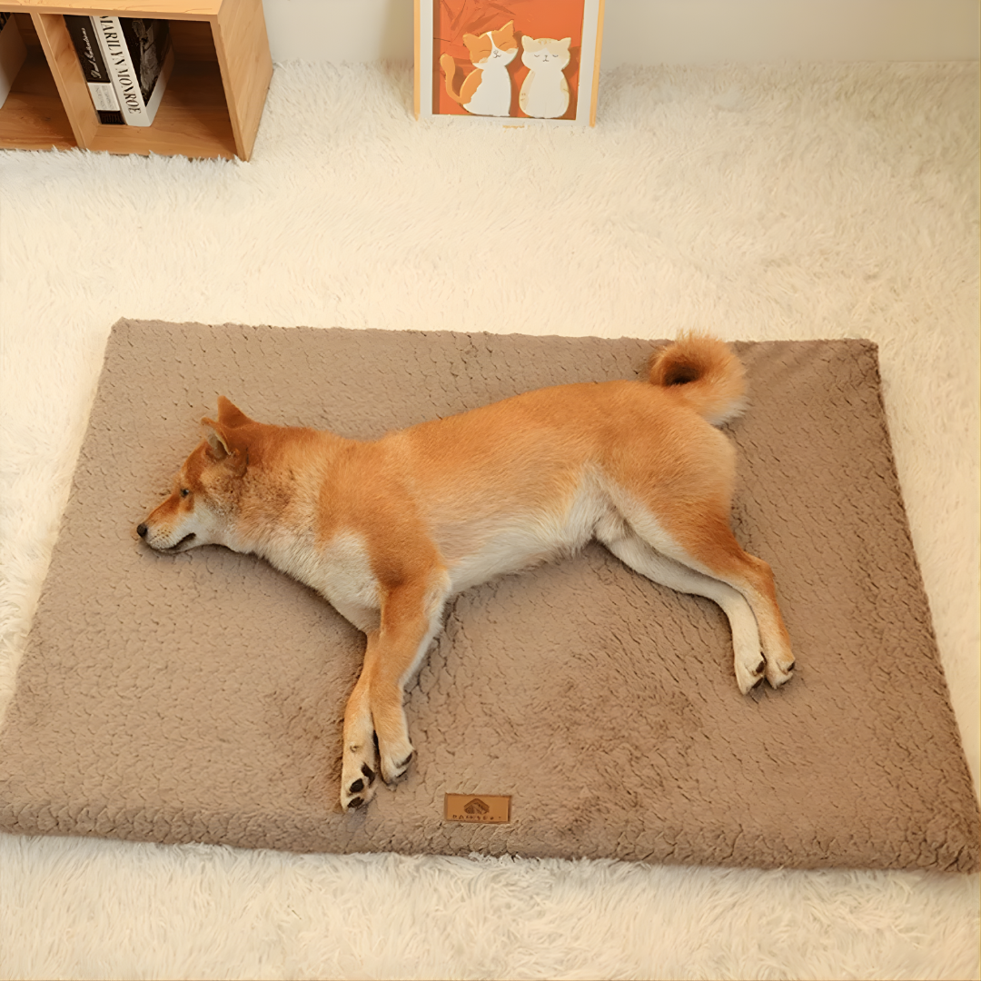 Orthopaedic Dog Bed With Washable Faux Fur Cover And Joint Support Foam Core